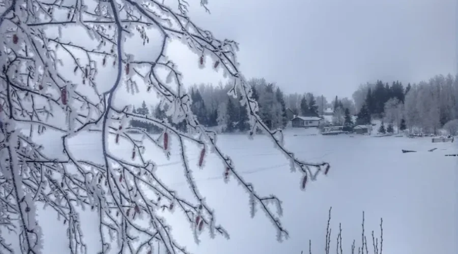 Hoarfrost