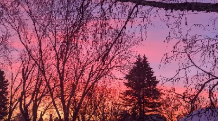Sunrise in Dryden