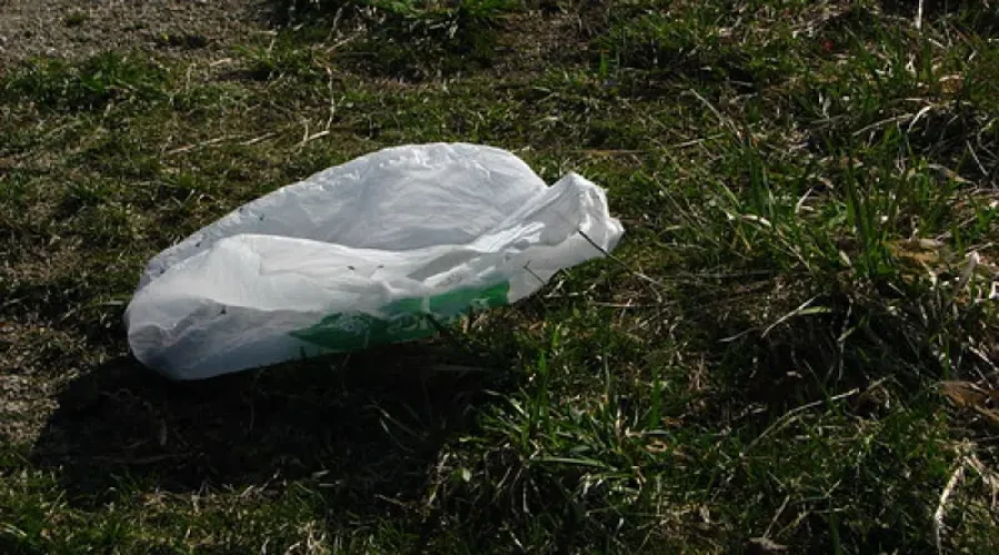 bags-1 Fort Frances Council Bans Plastic Shopping Bags