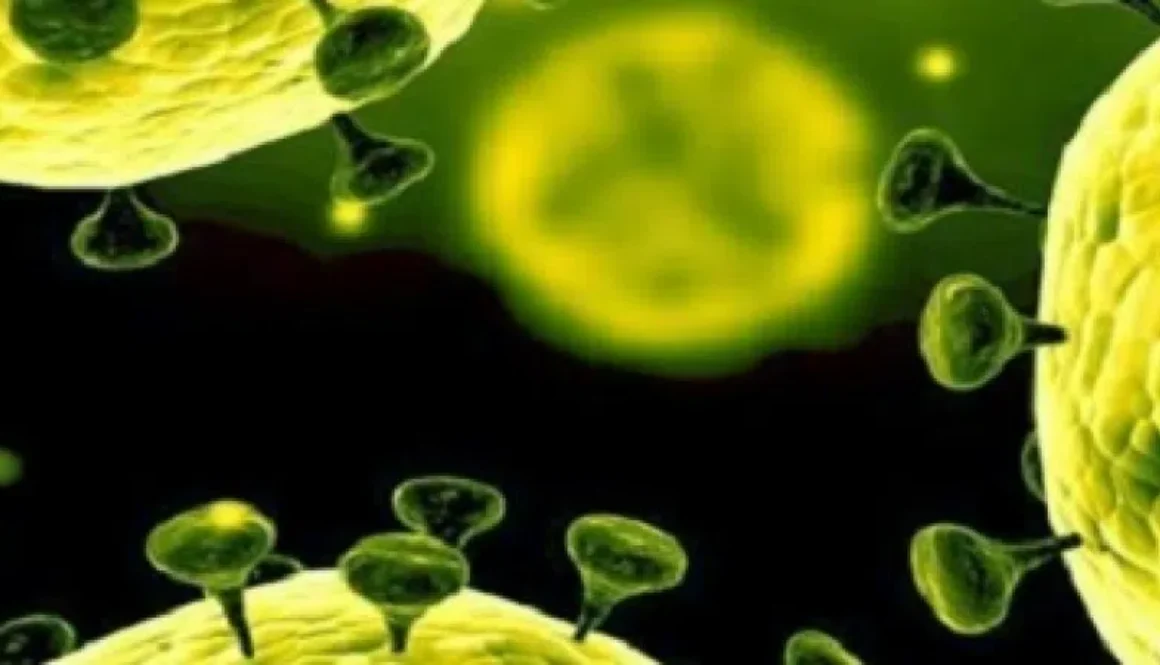 coronavirus-800x450-2