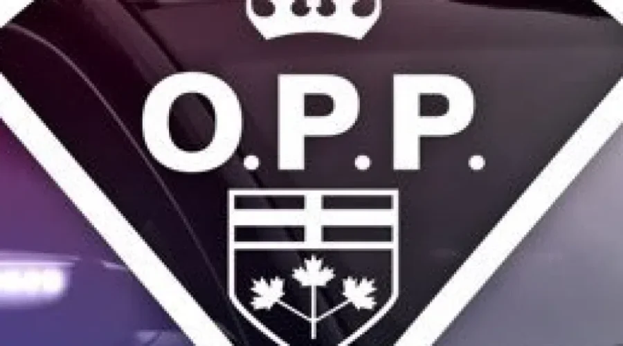 Southern Ontario Man Charged In Local Scam