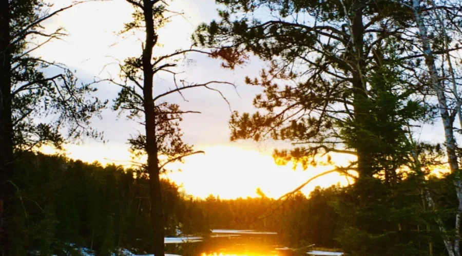 Open Water