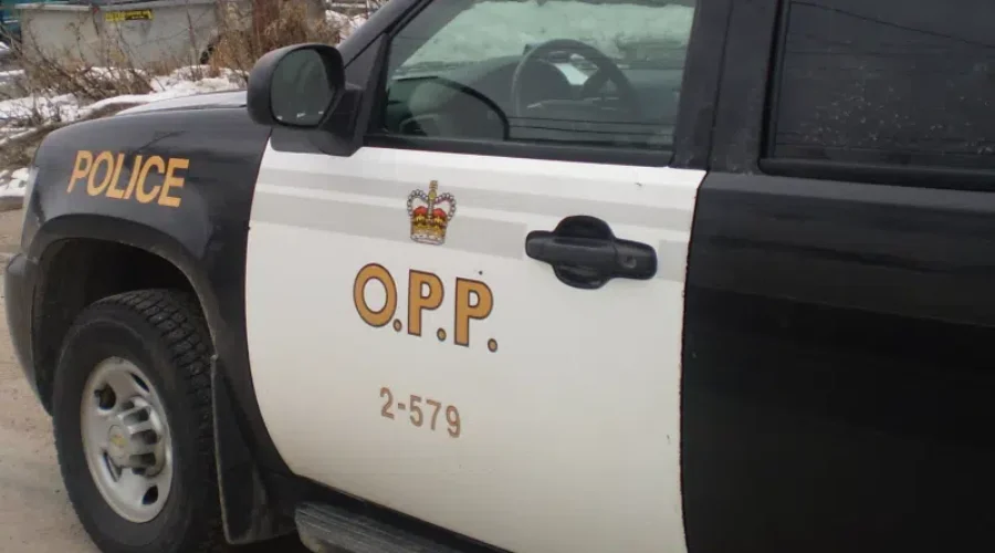 B&E And Animal Cruelty Charges In Red Lake