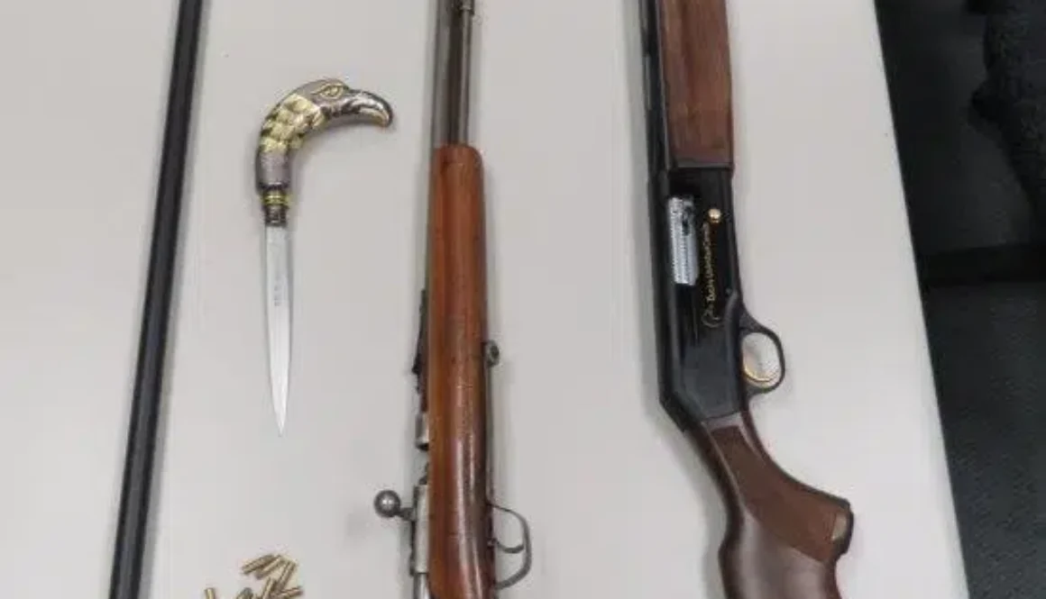 thumbnail_GUNS-1
