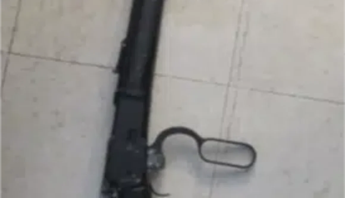 thumbnail_gun-kenora-1