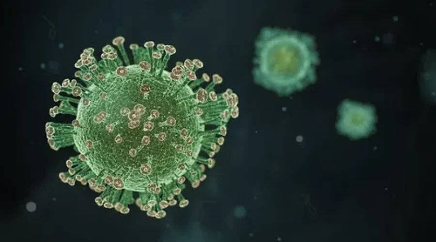 More Information On COVID-19