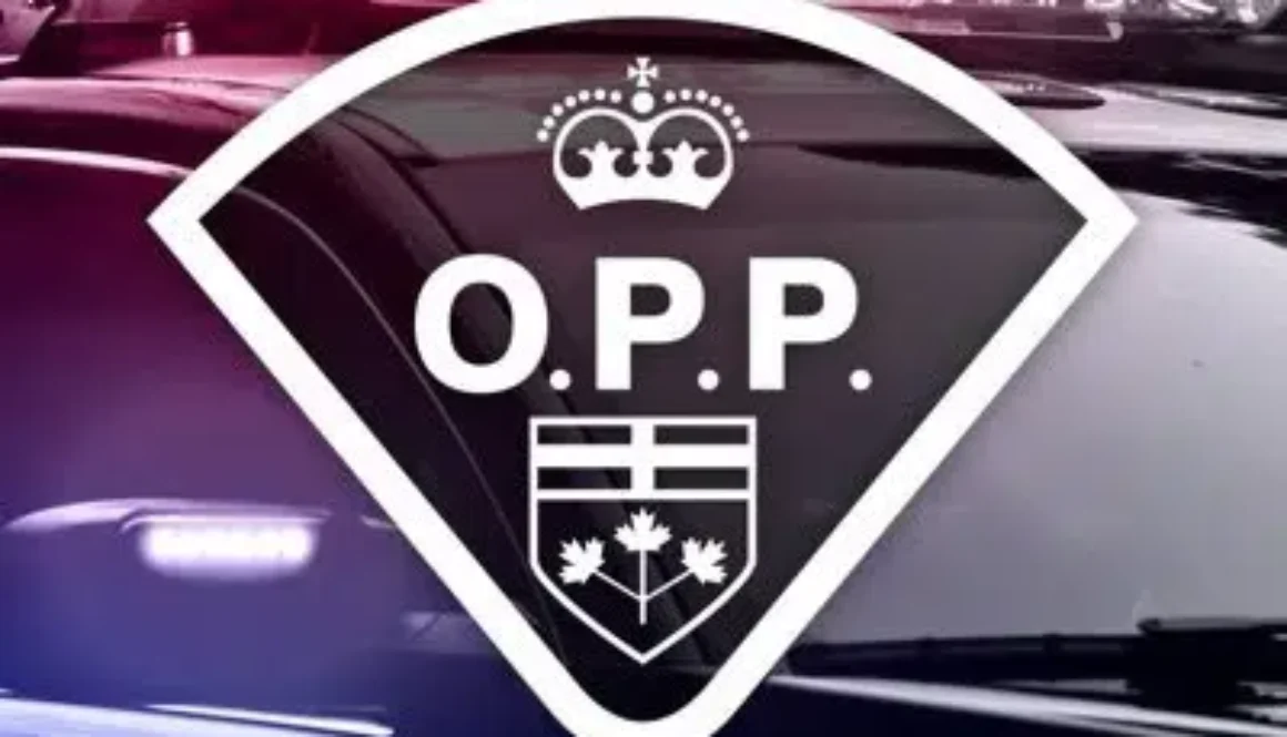 OPPimage2020-2