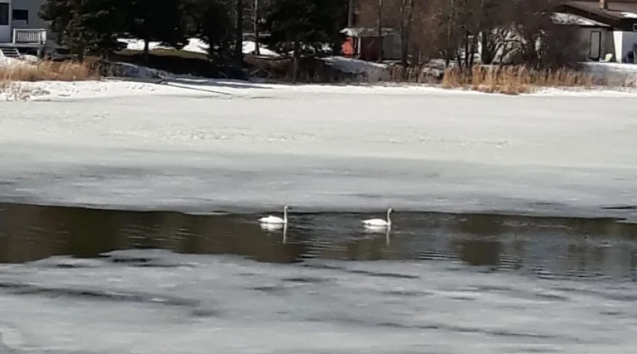 A Sure SIgn That Spring Is Here