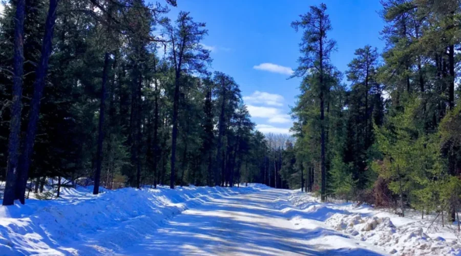 Sunshine, Shadows & Snow