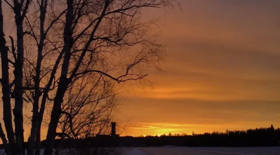 McKenzie Island Sunrise