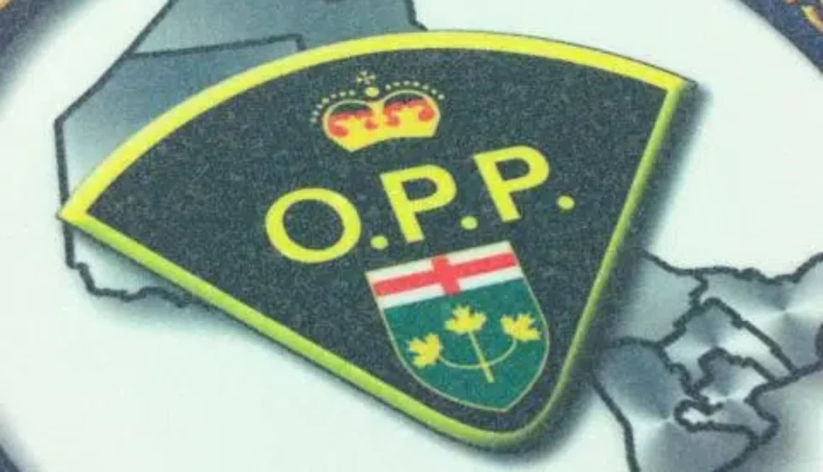 OPP202_54-2