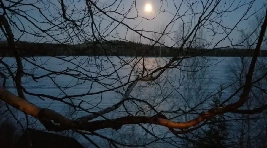 Photo-by-Evelyn-OKe-from-earlier-this-month-Super-moon-over-Rugby-Lake-1-1 Super Rugby Lake