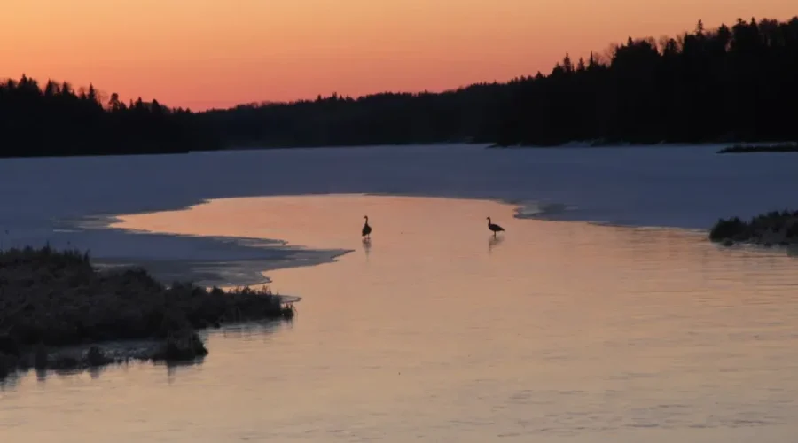 Sunrise Near Quibell