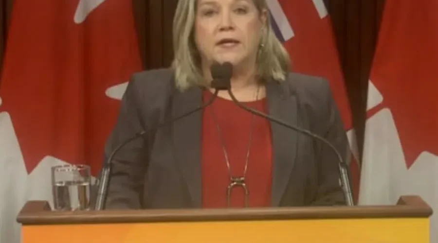 Provincial NDP Leader Calling For More Supports