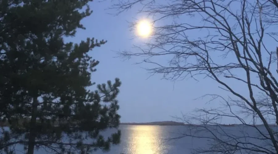 Lighting Up The Lake