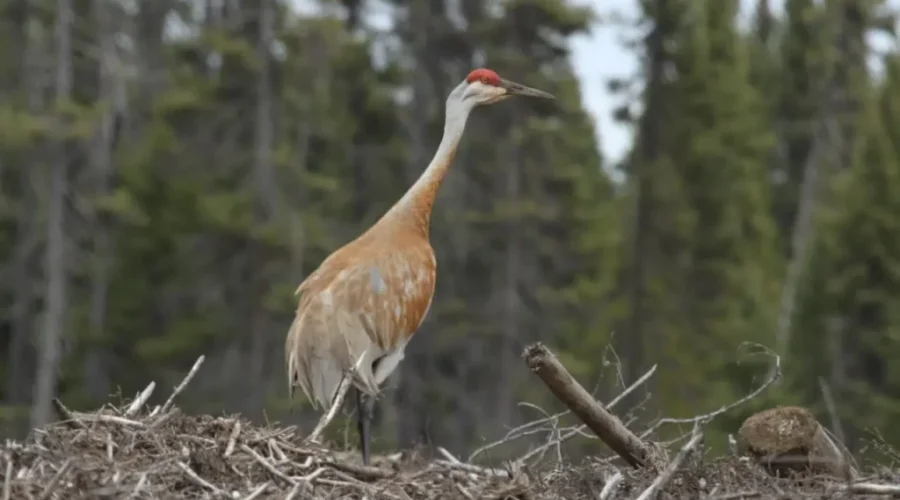 Tuesday’s Photo Of The Day