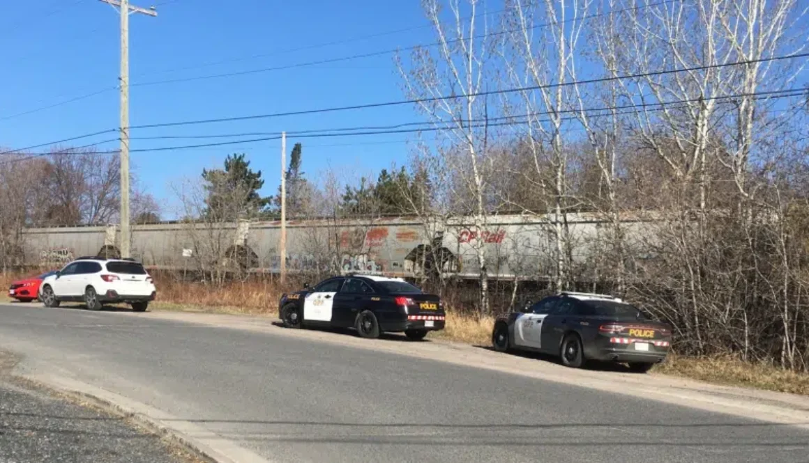 OPP-norman-1-800x450-2