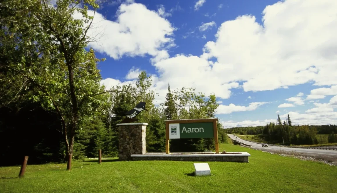 aaronpark-3