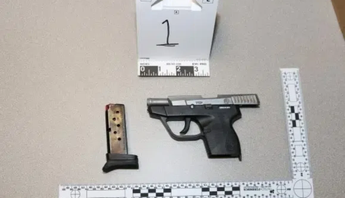 gun1-1