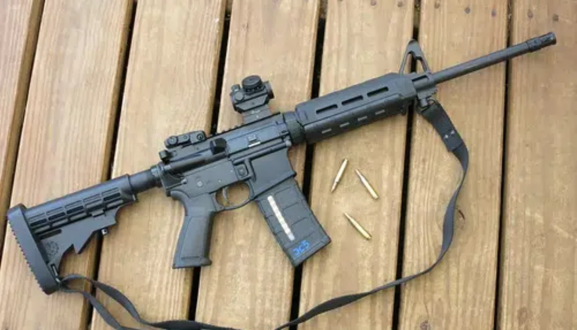 thumbnail_Gun-Image-1