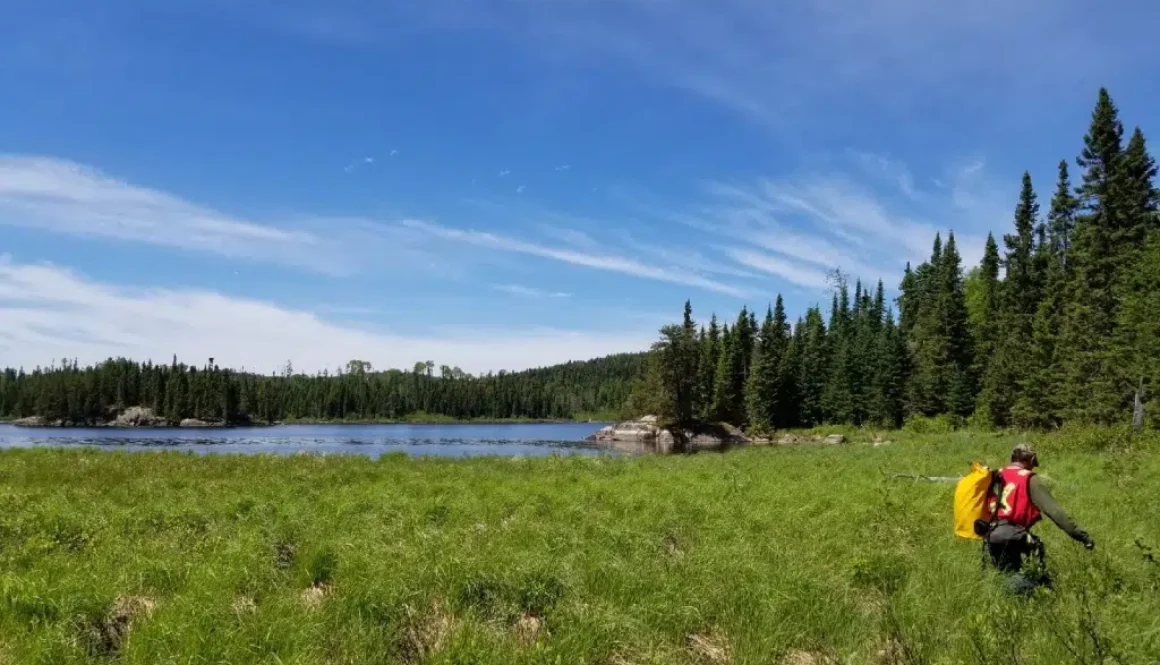 Fieldwork-1