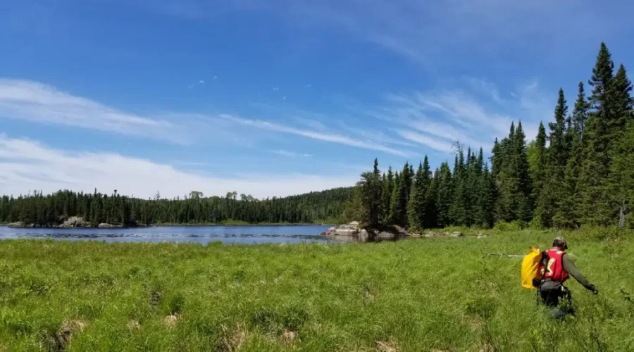 Environmental Feedback Continues For Ignace Repository