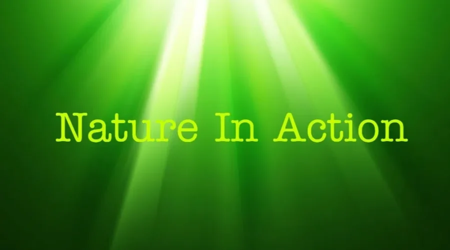 And….Action!!