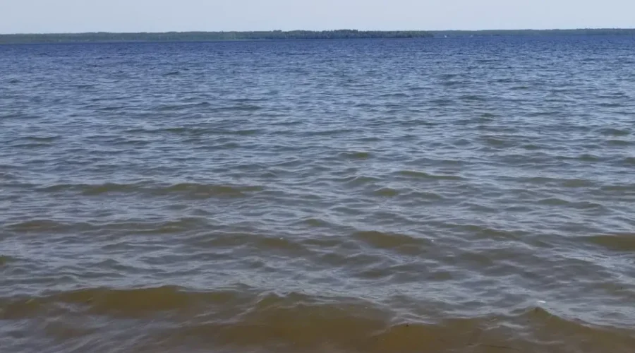 Thunder-Lake-1-1 Beached And Bleached