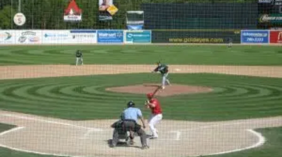 goldeyes-1 Goldeyes To Play Season In Fargo