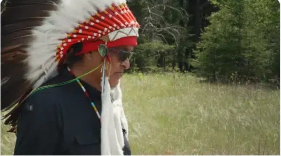 Treaty Three Chief Honours Class Of 2020