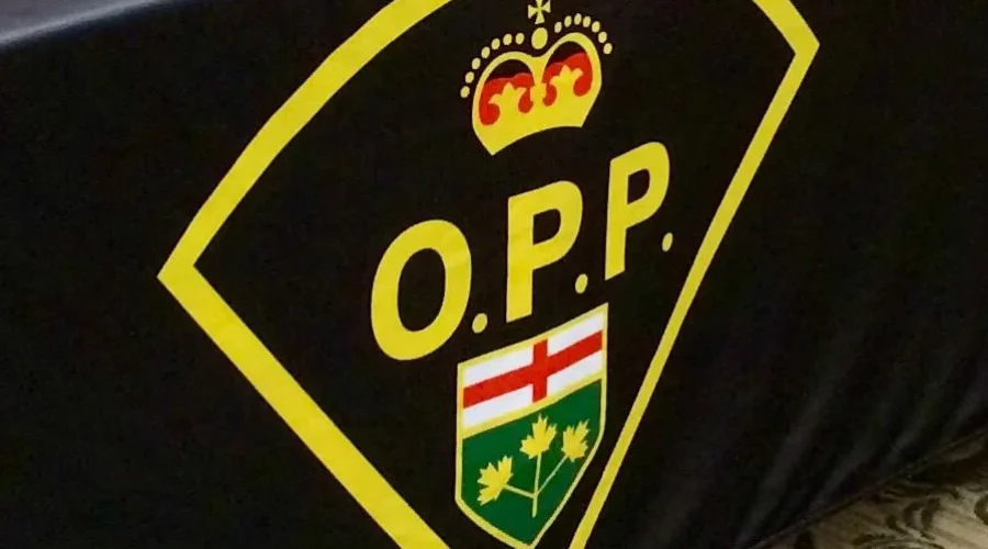 Impaired Stunt Driver