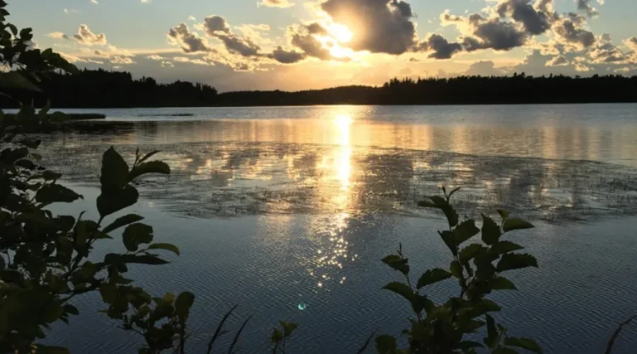 Laura Howe Marsh – Dryden