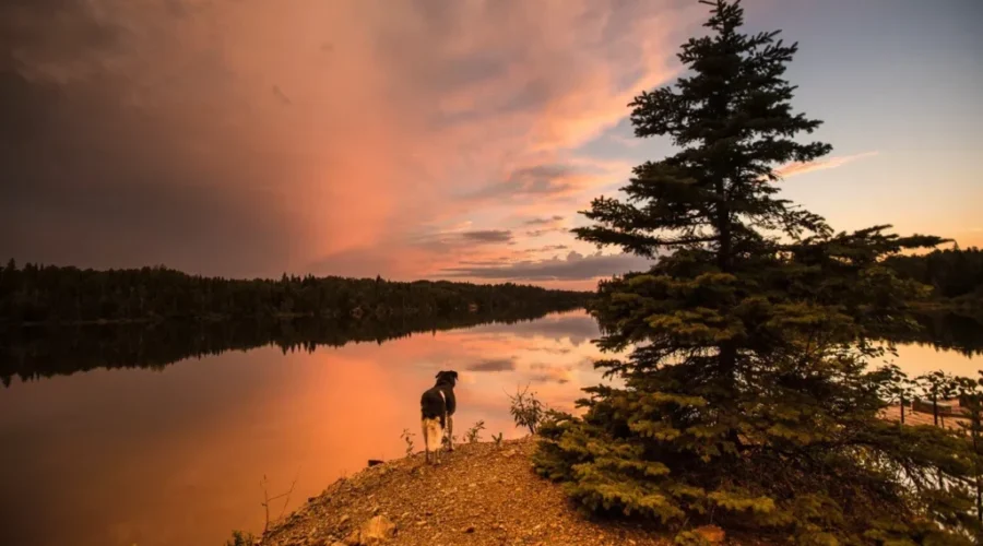 Picture-captured-this-past-Saturday-evening-from-a-property-near-Pipestone-Bay-in-the-west-end-of-Red-Lake-The-body-of-water-is-Phillips-Channel-Photo-by-Jean-McNamee-1 Phillips Channel