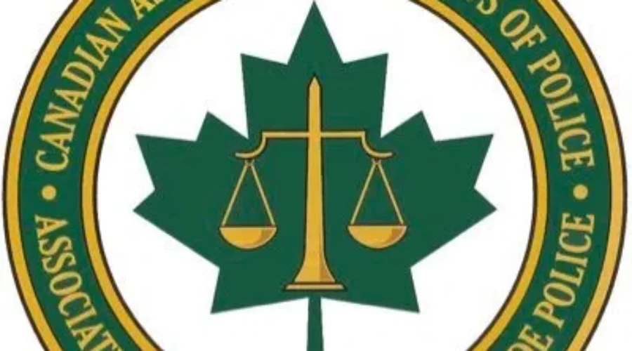 cacplogo Call For Possession Drug Charges To Be Decriminalized