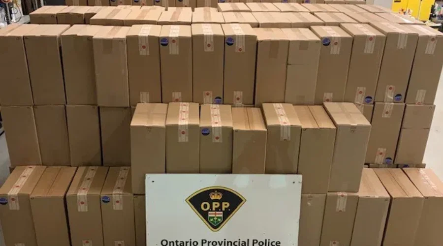 Illegal Cigarettes Seized Near Dryden