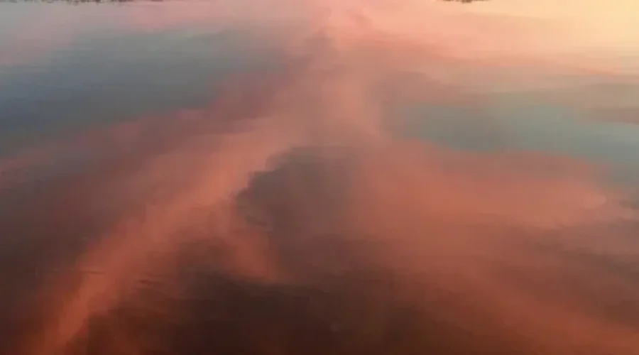 Reflecting In Oxdrift