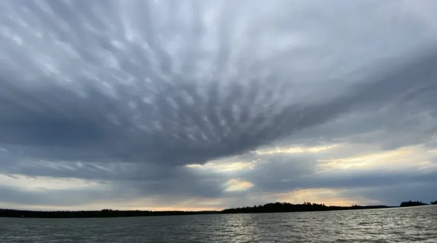 Waffled Sky