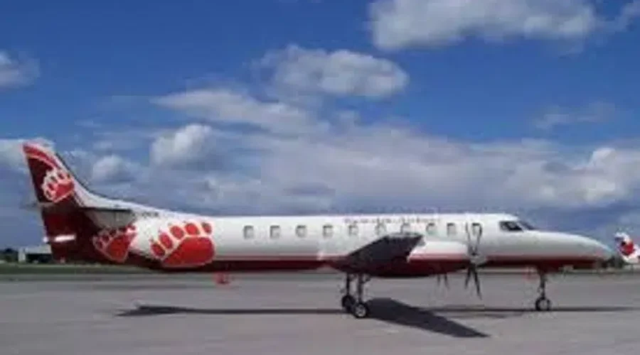 planbear Regular Bearskin Flights Set To Resume In Northwest