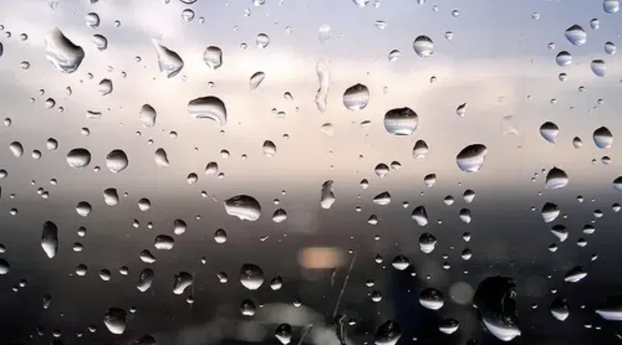 Heavy Rain, Wind Coming For Region