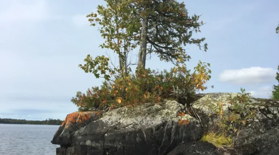 A Lonely Existence Or A Beacon Of Strength And Hope?