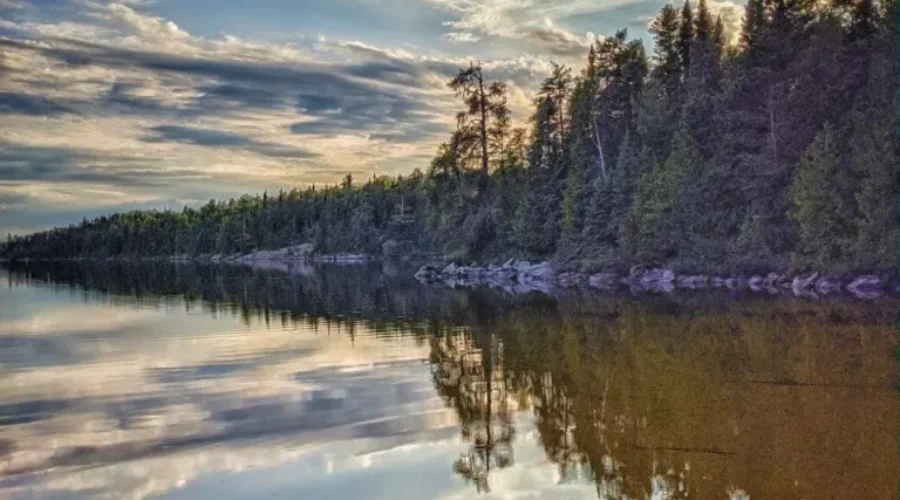 Reflecting On The Summer Past