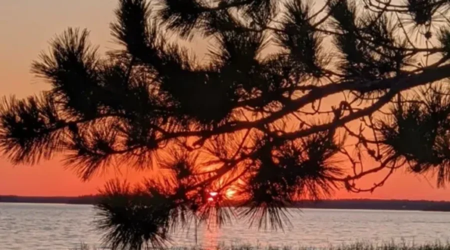 Eagle Lake