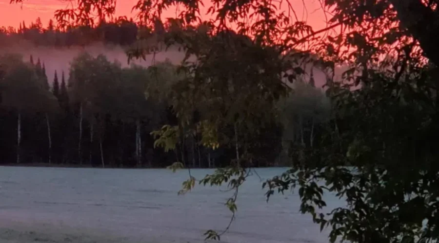 Frosty Sunrise
