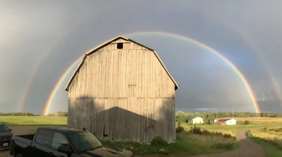 Pots Of Sunset Country Gold