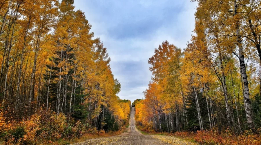 Fall Is Here