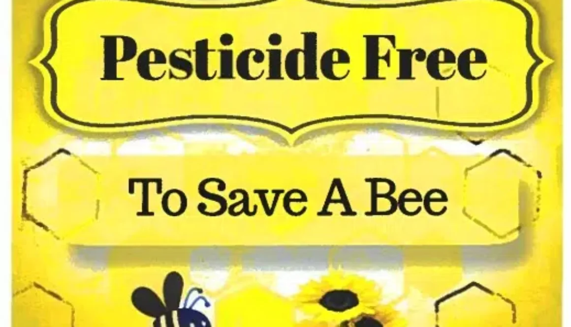 beeze