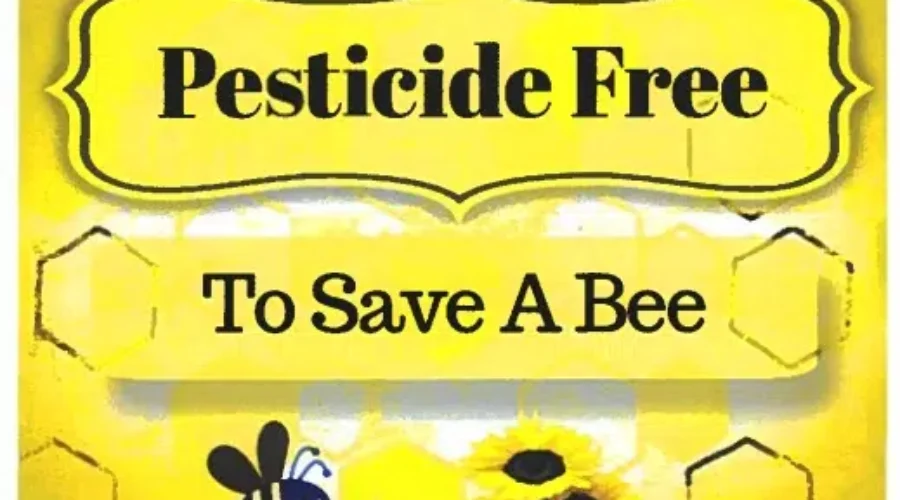 Local Beekeeper Looking For Dryden Council Support