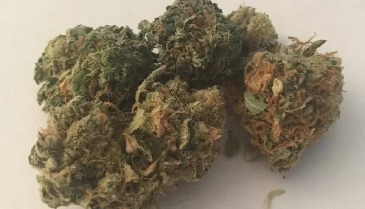 cannabis-pic-3-e1543787210130