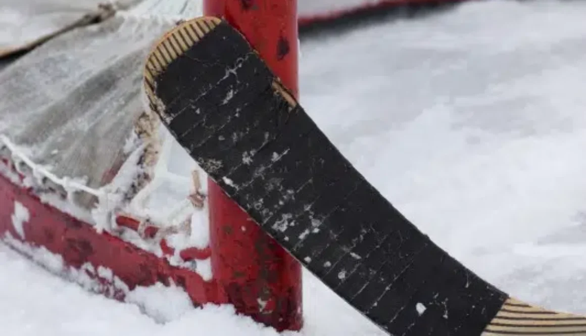 hockey_stick_puck_and_net_2439-1