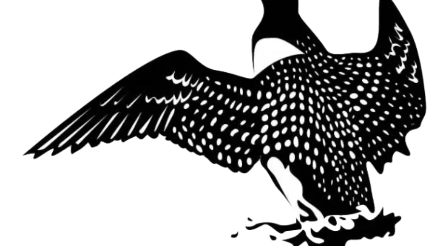 Supreme Court Set To Hear Lac Seul Flooding Case